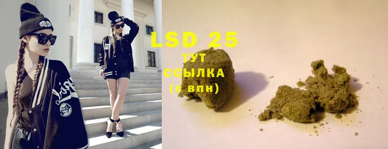 LSD-25 экстази ecstasy  купить   Новозыбков 